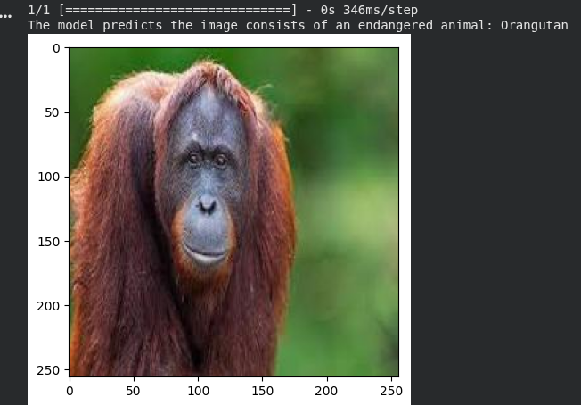 Endangered Species Classifer